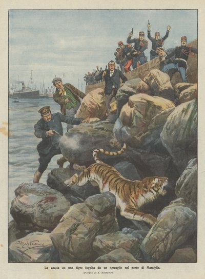 マルセイユ港の動物園からトラを狩る 作： Achille Beltrame