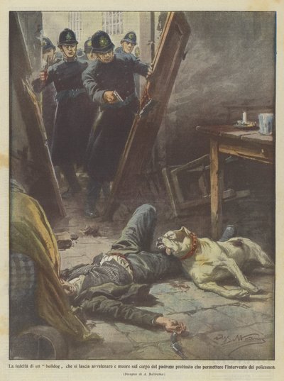 自分を毒殺させ、主人の体で死なせるブルドッグの忠誠心？ 作： Achille Beltrame