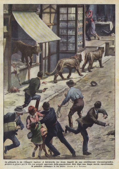 イギリスの村のジャングル 作： Achille Beltrame