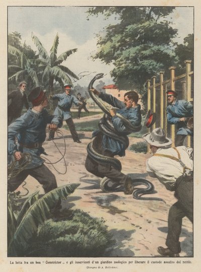 キーパーを解放するための収縮ブイと動物園係員の間の闘争？ 作： Achille Beltrame