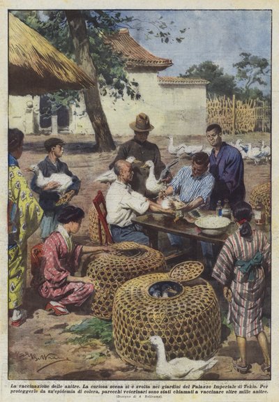 アヒルの予防接種 作： Achille Beltrame