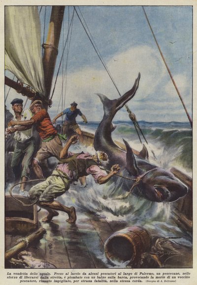 サメの復讐 作： Achille Beltrame