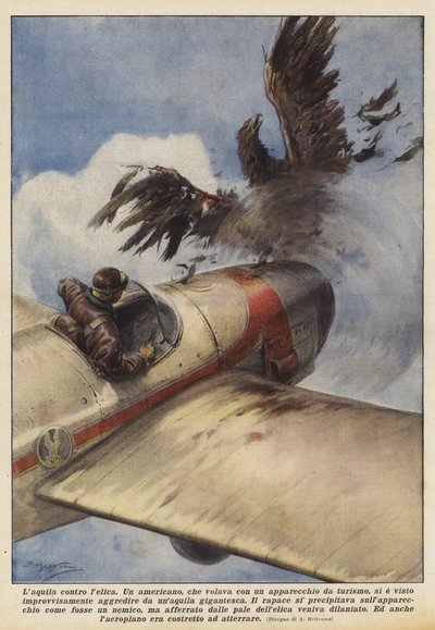 らせんに対するラクイラ 作： Achille Beltrame
