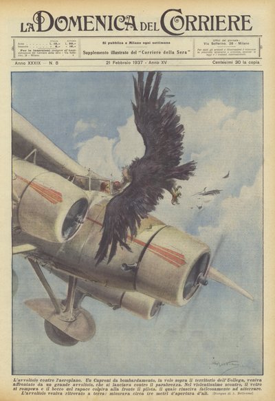 飛行機に対するハゲタカ 作： Achille Beltrame
