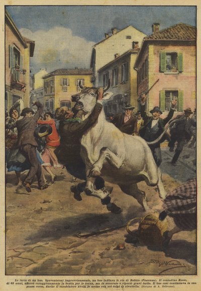牛の怒り 作： Achille Beltrame