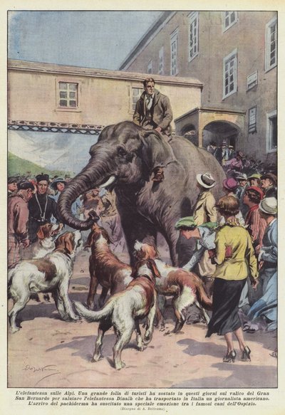 アルプスの象 作： Achille Beltrame