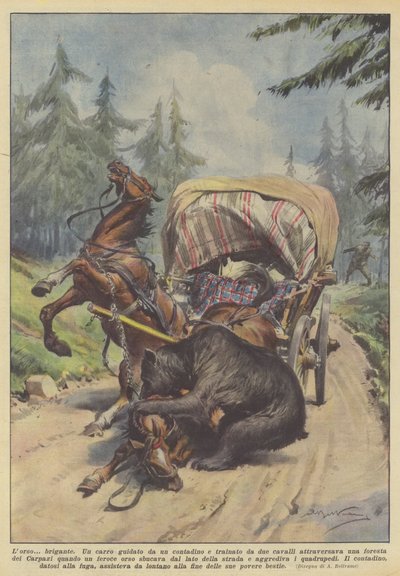 クマ？山賊 作： Achille Beltrame