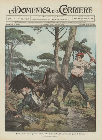 ラヴェンナの松林で突然彼を襲撃する漁師とワシの間の激しい戦い 作： Achille Beltrame