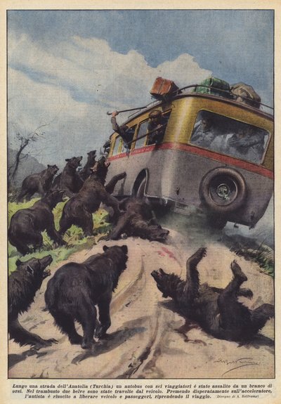 アナトリア（トルコ）の道路沿いに6人の旅行者がいるバスがクマの群れに襲われました 作： Achille Beltrame