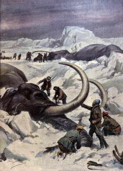 北極のマンモス 作： Achille Beltrame