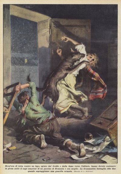 風邪と空腹に駆られてオオカミとの戦いの30分？ 作： Achille Beltrame