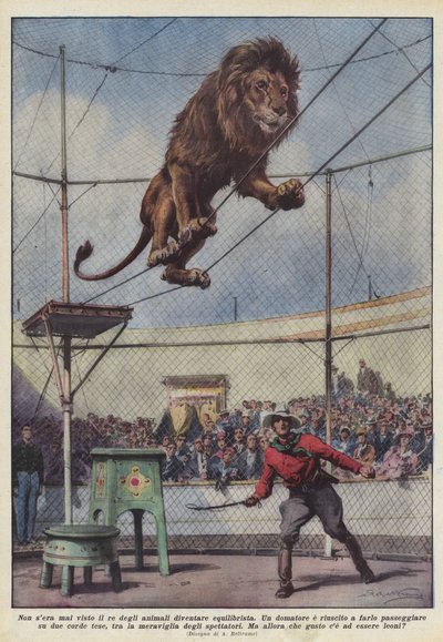 動物の王様が綱渡りをする姿を見たことがない 作： Achille Beltrame