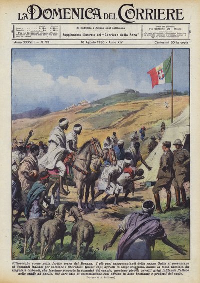 ボラナの肥沃な土地の美しい景色 作： Achille Beltrame