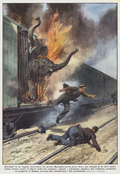 マルセイユの近くで火事を起こした鉄道車両に閉じ込められたゾウ？ 作： Achille Beltrame