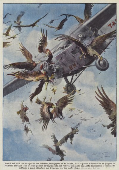 空のライバル 作： Achille Beltrame