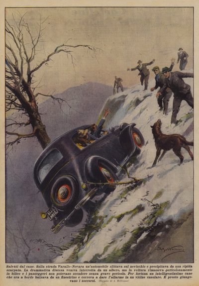 犬に救われた 作： Achille Beltrame