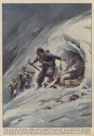 犬に救われた 作： Achille Beltrame