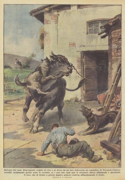 犬に救われた 作： Achille Beltrame