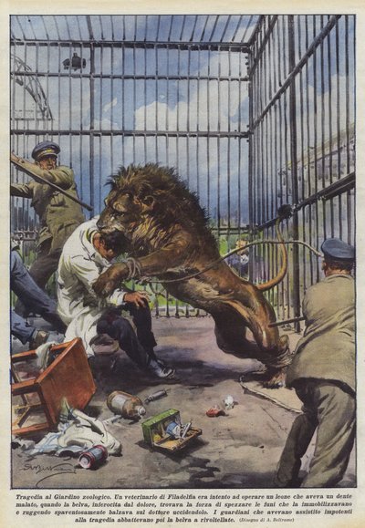 動物園の悲劇 作： Achille Beltrame