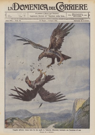 空の悲劇、ヴァルネリーナ（マチェラータ）の2つのワシ間の激しい戦いは、 作： Achille Beltrame