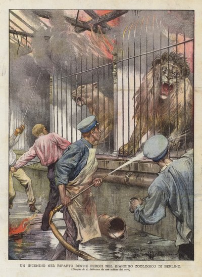 ベルリン動物園の野獣病棟の火災（カラーリトグラフ 作： Achille Beltrame