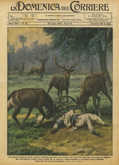 動物園の鹿の囲いに入った先住民族のインドの警官？ 作： Achille Beltrame