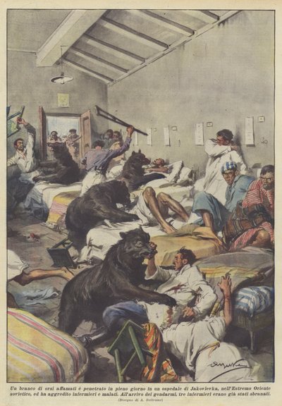白昼にヤコブレフカの病院に入った空腹のクマの群れ？ 作： Achille Beltrame