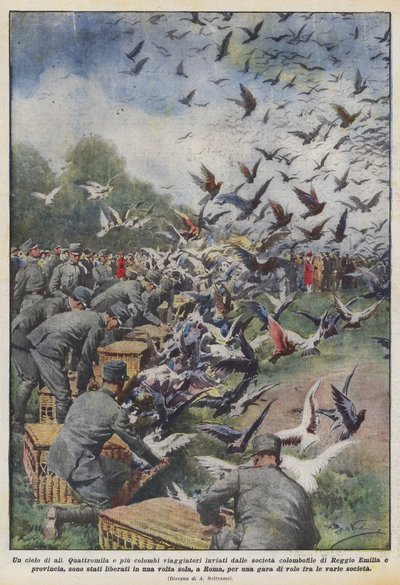 翼の空 作： Achille Beltrame