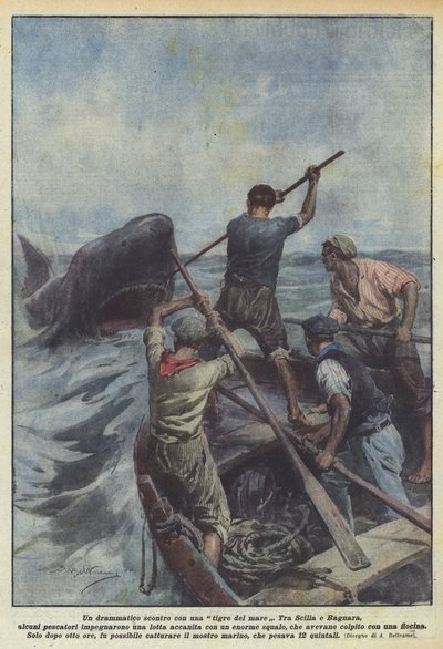 シータイガーとの劇的な衝突 作： Achille Beltrame