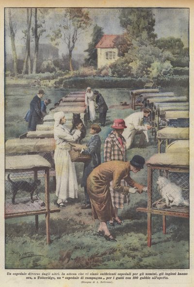 他とは違う病院 作： Achille Beltrame