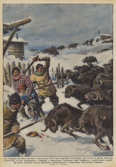 牛に包まれた村 作： Achille Beltrame