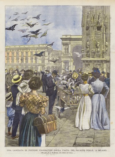 ミラノのパラッツォレアーレ広場から旅行ハトの打ち上げ 作： Achille Beltrame
