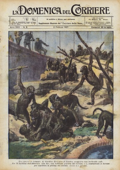 サルの戦争 作： Achille Beltrame