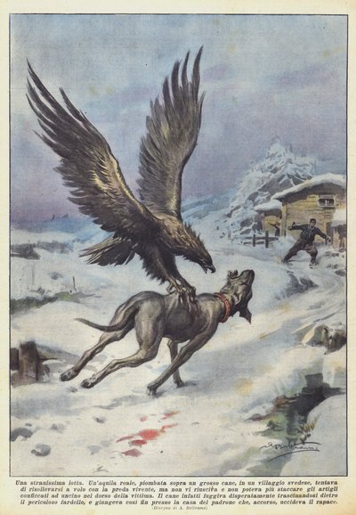 非常に奇妙な戦い 作： Achille Beltrame