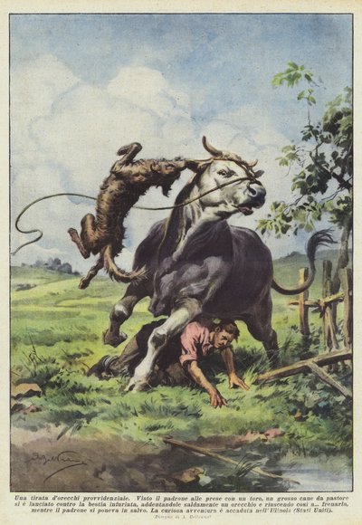 プロビデンシャルティレード 作： Achille Beltrame