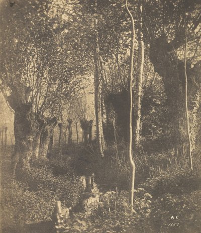 [風景、アラス]、1852年。 作： Adalbert Cuvelier