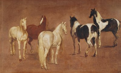 5頭の馬の研究 作： Adam Frans van der Meulen