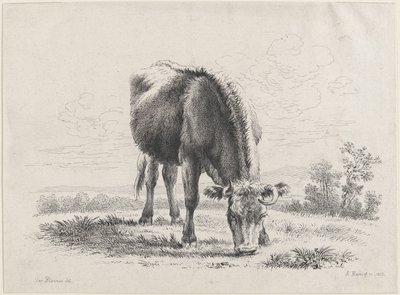 牛の放牧、1805年、1805年。 作： Adam von Bartsch