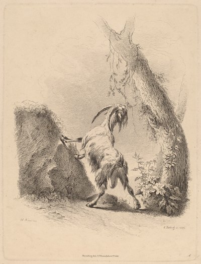 風景の中のヤギ、1805年。 作： Adam von Bartsch