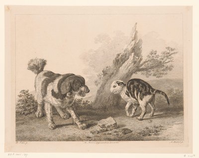 向かい合って戦う体勢の犬と猫 オランダの巨匠による絵画後の動物（シリーズタイトル） Différens animaux gravés d