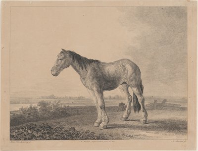 左の横顔で野原に立つ馬、1809年。 作： Adam von Bartsch