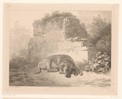 壁の前で寝ている犬 オランダの巨匠による絵画後の動物（シリーズタイトル） Différens animaux gravés d