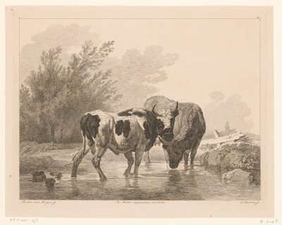 小川の 2 頭の牛 オランダの巨匠による絵画後の動物（シリーズタイトル） Différens animaux gravés d