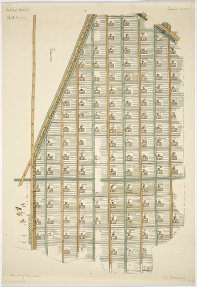 マゲイプランを4分割して印刷したもの（水彩画 作： Adela Breton