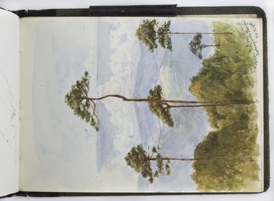 水彩画のスケッチブック、ドローイングとノート、メキシコ,1896-1898（水彩画 作： Adela Breton