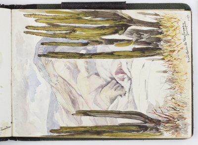 水彩画のスケッチブック、ドローイングとノート、メキシコ,1896-1898（水彩画 作： Adela Breton
