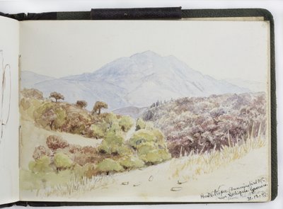 水彩画のスケッチブック、ドローイングとノート、メキシコ,1896-1898（水彩画 作： Adela Breton