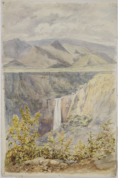 メキシコ、プエブラ州、ワウチナンゴの滝 作： Adela Breton