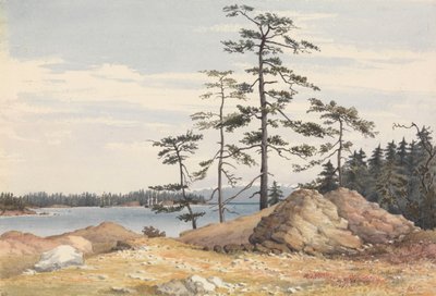 バンクーバー島エスキマルト港、1851年6月28日［カナダ］」。 作： Admiral Sir Edward Gennys Fanshawe