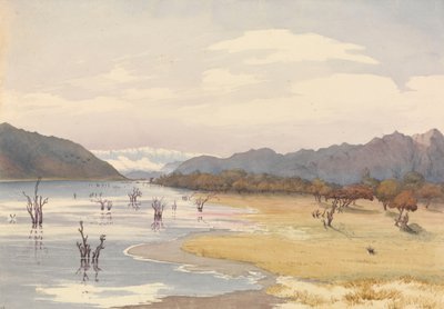 チリ、アコレオ湖、1851年7月11日 作： Admiral Sir Edward Gennys Fanshawe